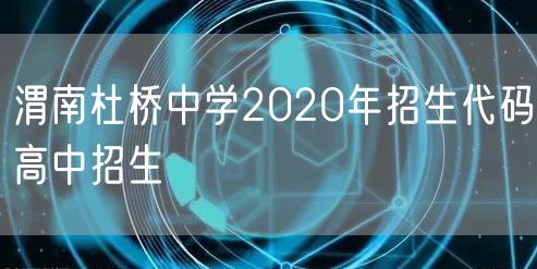 渭南杜桥中学2020年招生代码高中招生