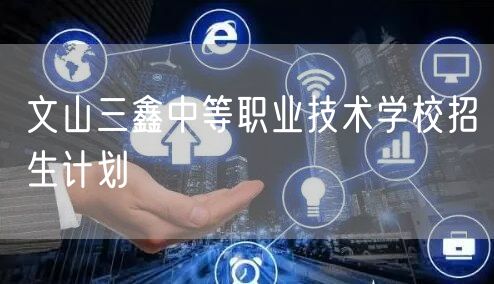文山三鑫中等职业技术学校招生计划